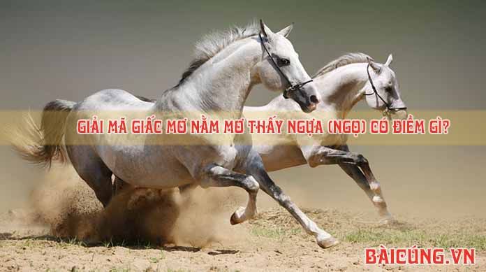 Ngựa xuất hiện trong giấc mơ ý nghĩa gì
