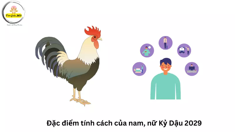 Đặc điểm tính cách tuổi Kỷ Dậu 2029