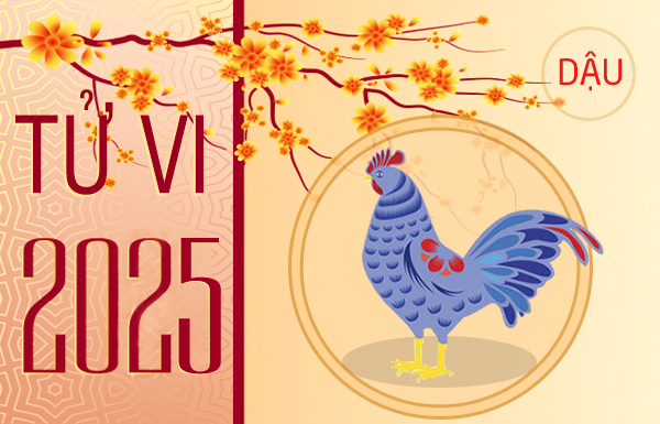 Tử vi nữ Đinh Dậu 2017 năm 2025 chi tiết
