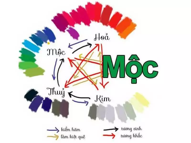 Mệnh Mộc hợp mệnh nào? Giải mã phong thuỷ tình duyên, làm ăn và cách ứng dụng thực tiễn Người mệnh Mộc hợp với mệnh nào nhất