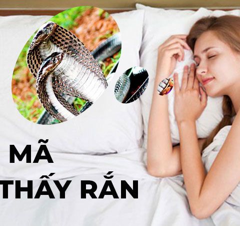 Rắn cắn người thân trong giấc mơ đánh đề số mấy