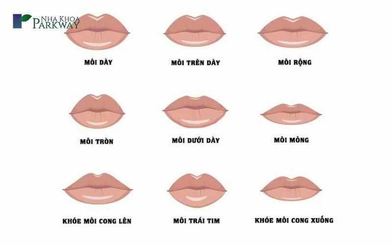 Đặc điểm môi mỏng ở nam giới