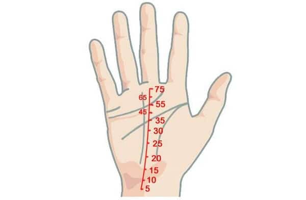 Đường chỉ tay sự nghiệp rõ nét