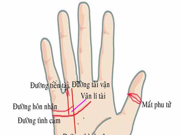 Hình ảnh bàn tay với nét chỉ tay rõ ràng
