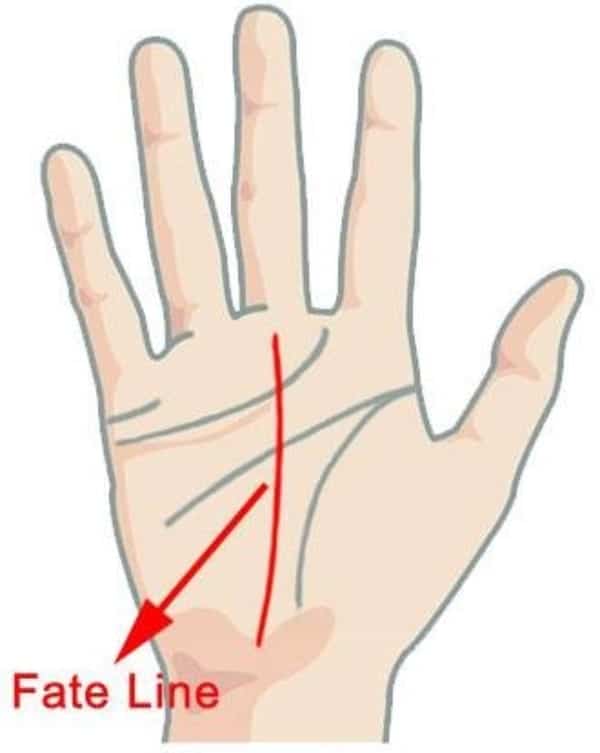 Chi tiết đường chỉ tay nữ