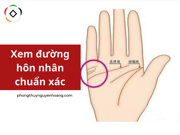 Các kiểu đường hôn nhân trên tay