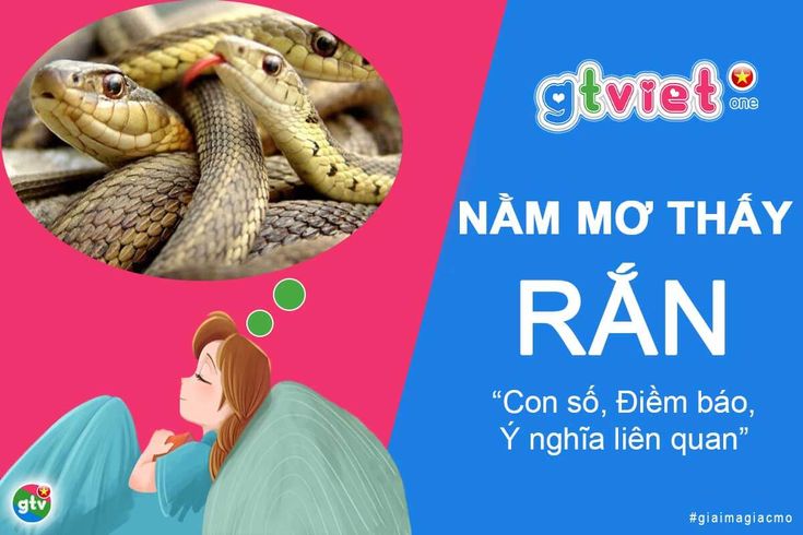 Nhiều con rắn xuất hiện trong giấc mơ