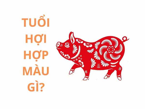 Giải mã tuổi Hợi khắc tuổi nào: Góc nhìn thực tế từ phong thủy và trải nghiệm đời sống Tuổi Hợi khắc với tuổi nào theo phong thủy