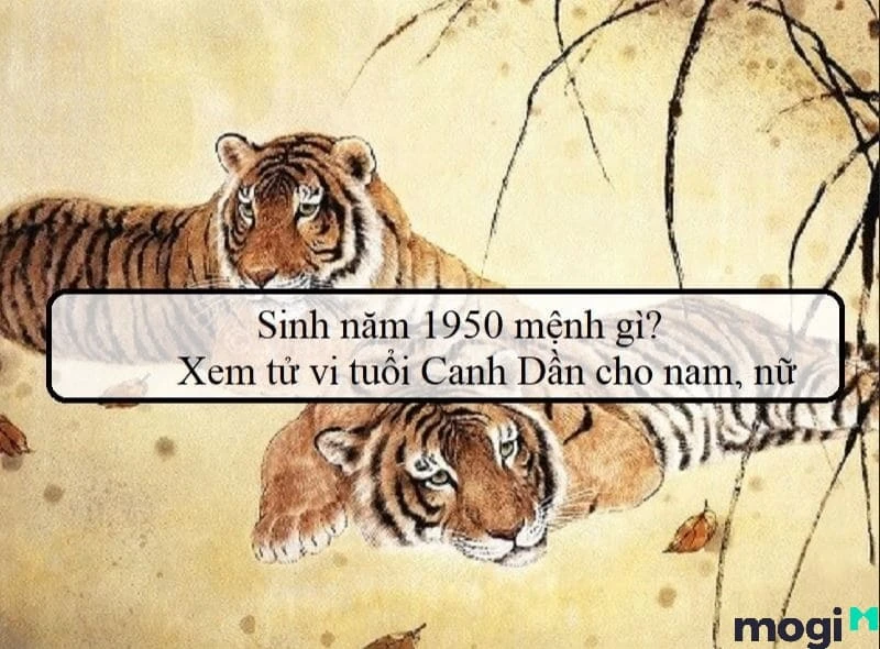 Nữ sinh Việt Nam thập niên 1950 trong tà áo dài trắng
