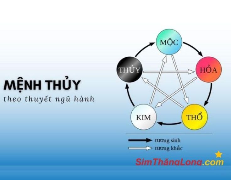 Giải Mã Sâu Sắc: Mệnh Thuỷ Hợp Mệnh Nào? Góc Nhìn Thực Tế Từ Phong Thuỷ Ứng Dụng Người mệnh Thủy hợp với mệnh Kim và mệnh Mộc