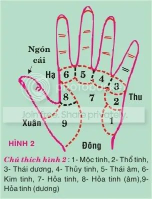 Hình minh họa xem chỉ tay
