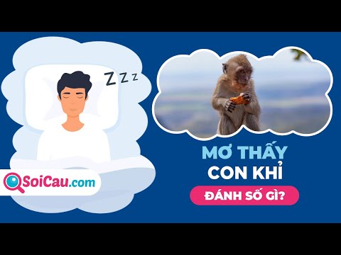 Khỉ xuất hiện trong giấc mơ ban đêm