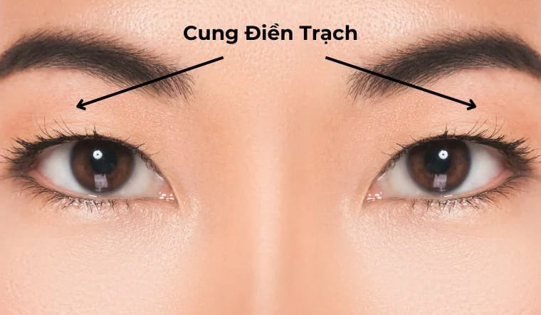 Cung điền trạch là gì trong phong thủy nhà ở