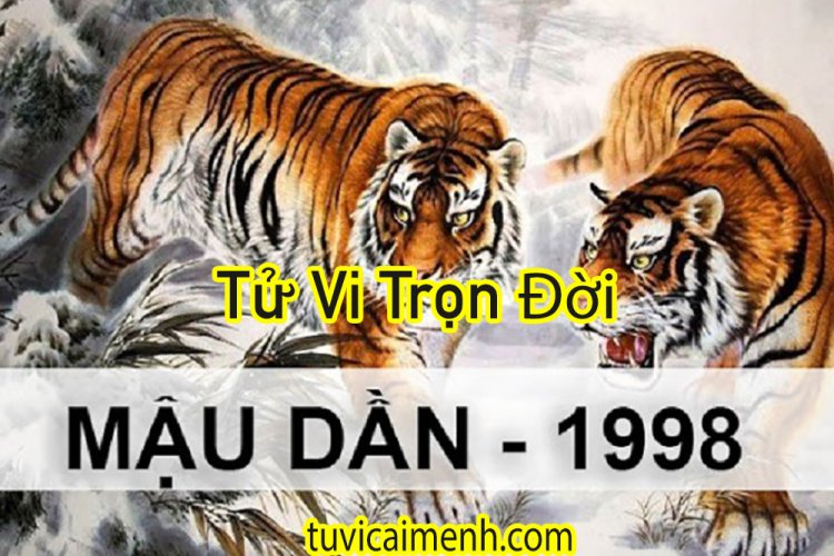 Tuổi Mậu Dần 1998 vận mệnh và phong thủy