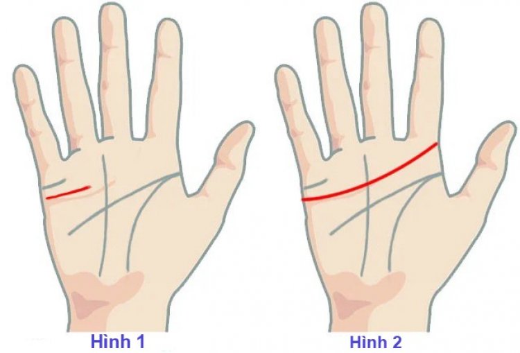 Chiêm tinh Vedic dự đoán tình duyên chính xác