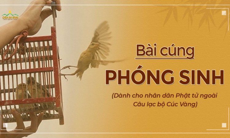 Bài cúng phóng sinh đơn giản tại nhà