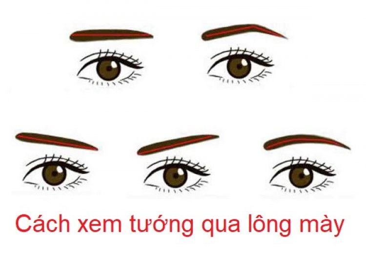 Các kiểu lông mày đẹp phổ biến