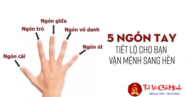 Năm ngón tay và ý nghĩa riêng