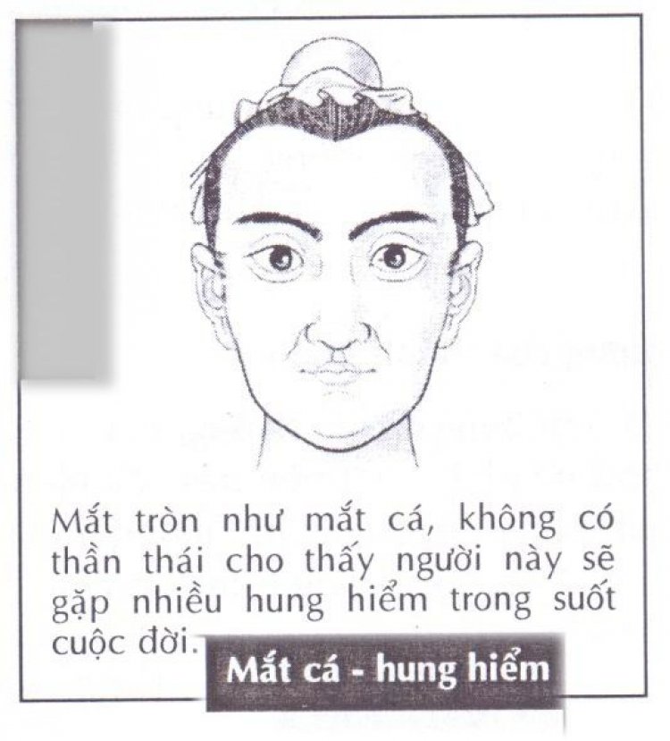 Các kiểu mắt và tướng số đi kèm