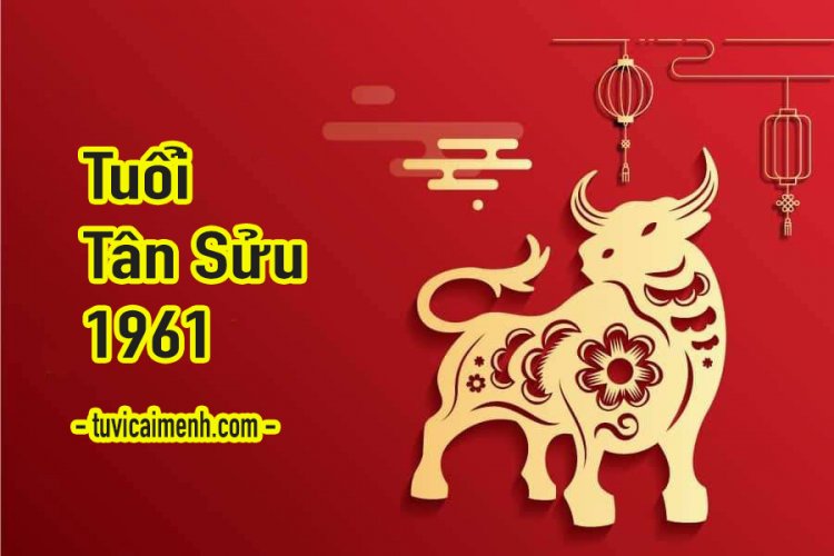 Tuổi Tân Sửu 1961: Cách chọn ngày đẹp khai trương chuẩn phong thủy, hút tài lộc và tránh ngày xấu Người sinh năm Tân Sửu 1961 vận mệnh và phong thủy