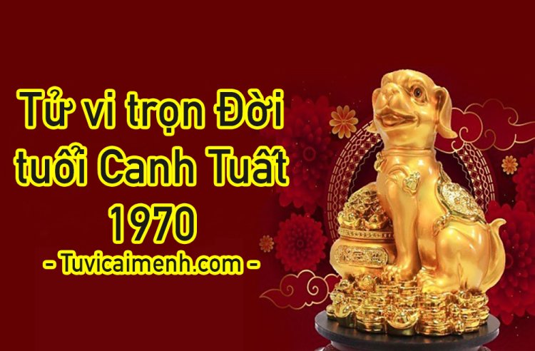 Bảng tra tử vi Canh Tuất 2030