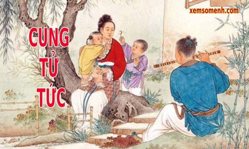 Cung tử tức là gì trong tử vi phong thủy