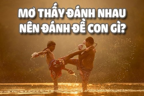 Mơ thấy xem đánh nhau nên đánh đề con gì