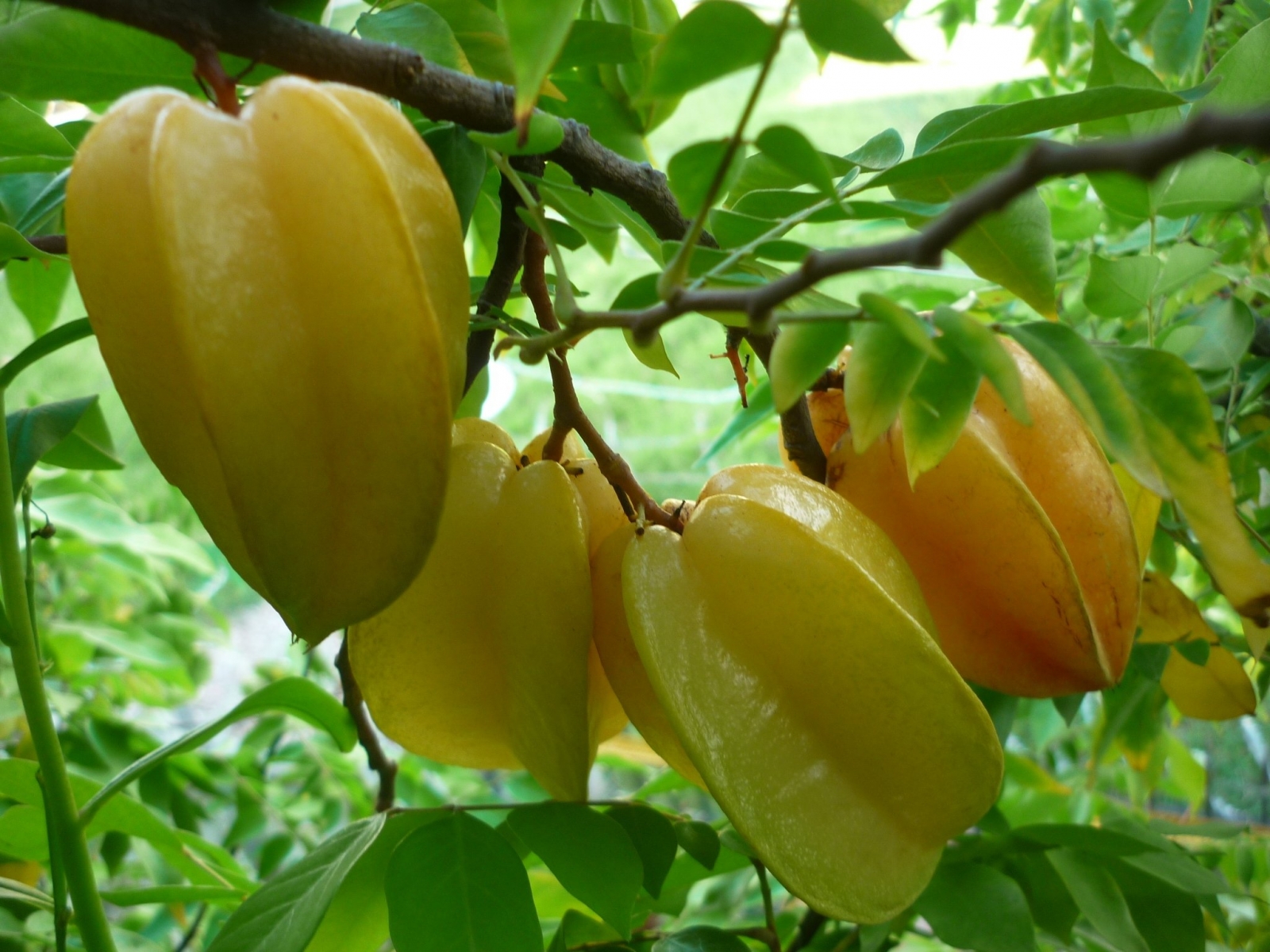 Mơ thấy đề thi nên đánh số gì may mắn