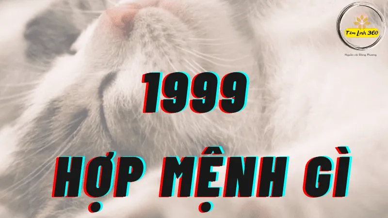 Nữ sinh 1999 tươi cười mặc áo dài trắng