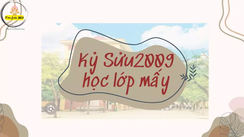 Học sinh sinh năm 2009 học lớp mấy năm 2026