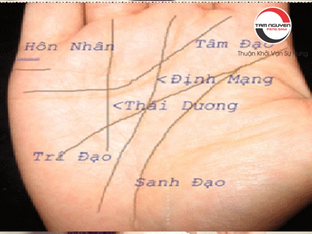 Hình minh họa xem chỉ tay đoán hôn nhân