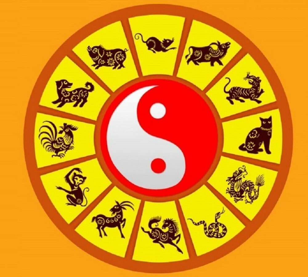 Địa chi là gì? Giải mã ý nghĩa, ứng dụng thực tiễn và những điều cần biết về 12 địa chi Hình ảnh minh họa về địa chi trong văn hóa phương Đông