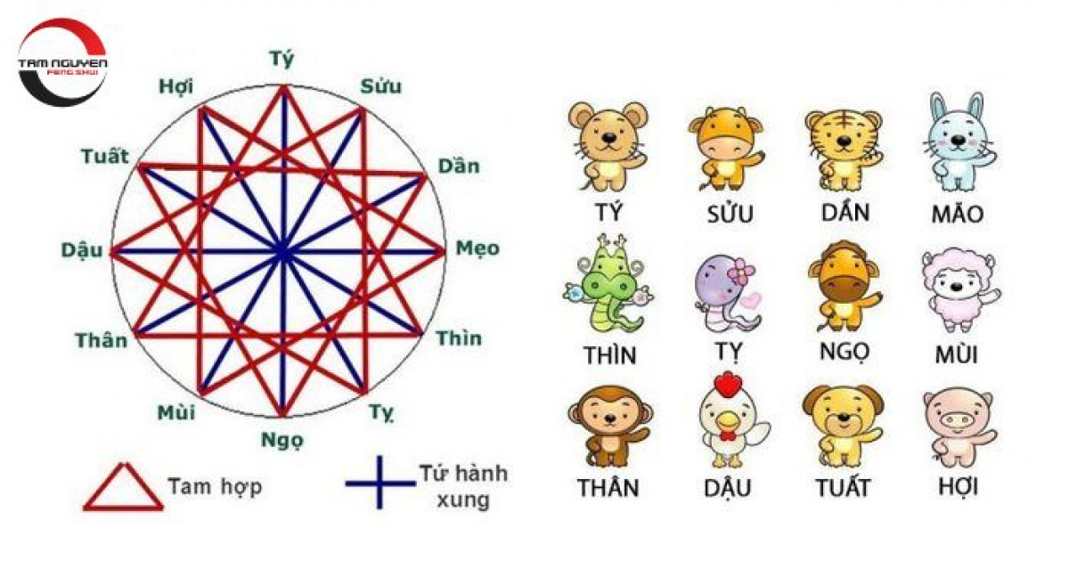 Khái niệm tam hợp trong phong thủy và tử vi