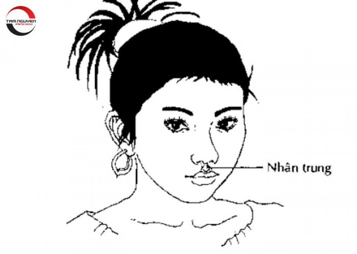Đặc điểm tướng mặt phụ nữ