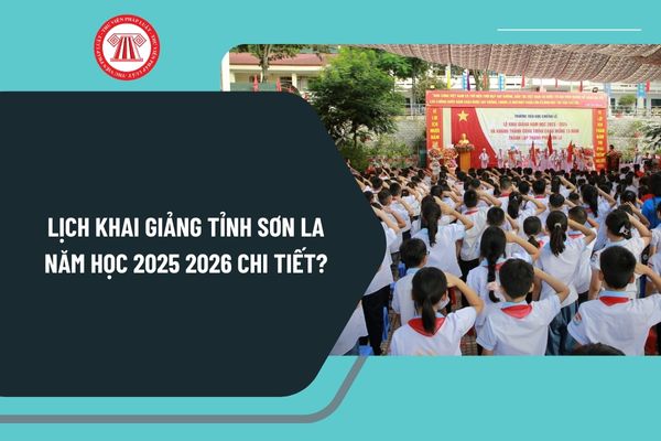 Học sinh sinh năm 2019 học lớp mấy năm 2026