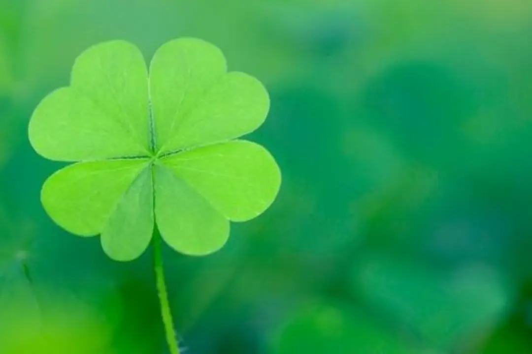 Bài cúng đầu năm cầu bình an may mắn cho gia đình