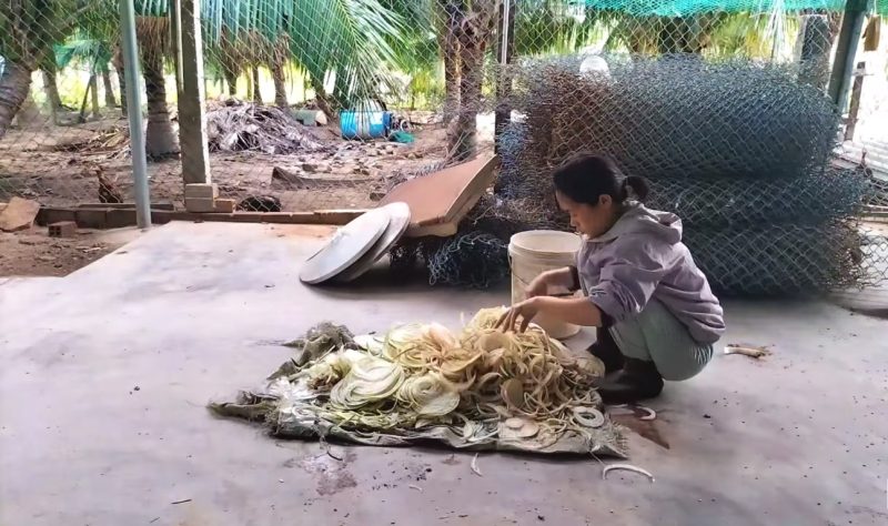 Heo con dễ thương trong giấc mơ ban đêm