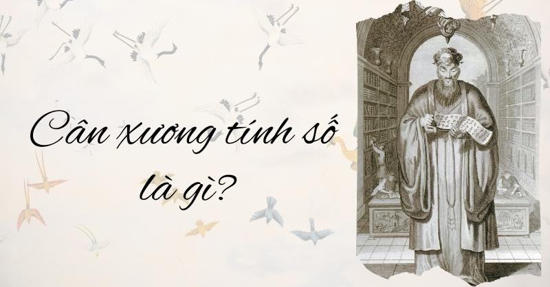 can chi trong tử vi và ý nghĩa phong thủy