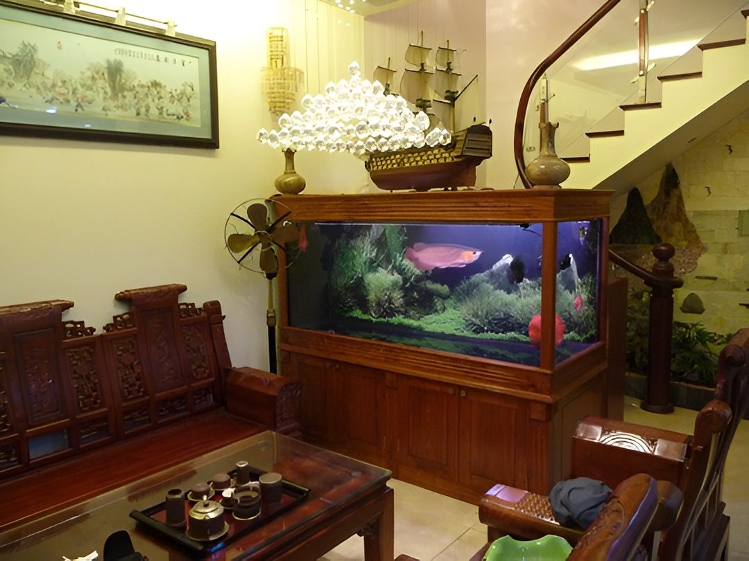 hồ cá phong thuỷ trong nhà thu hút tài lộc