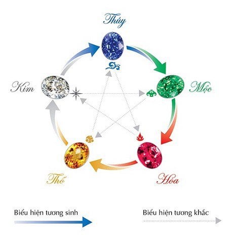 Tử vi theo cung phi chi tiết năm 2024