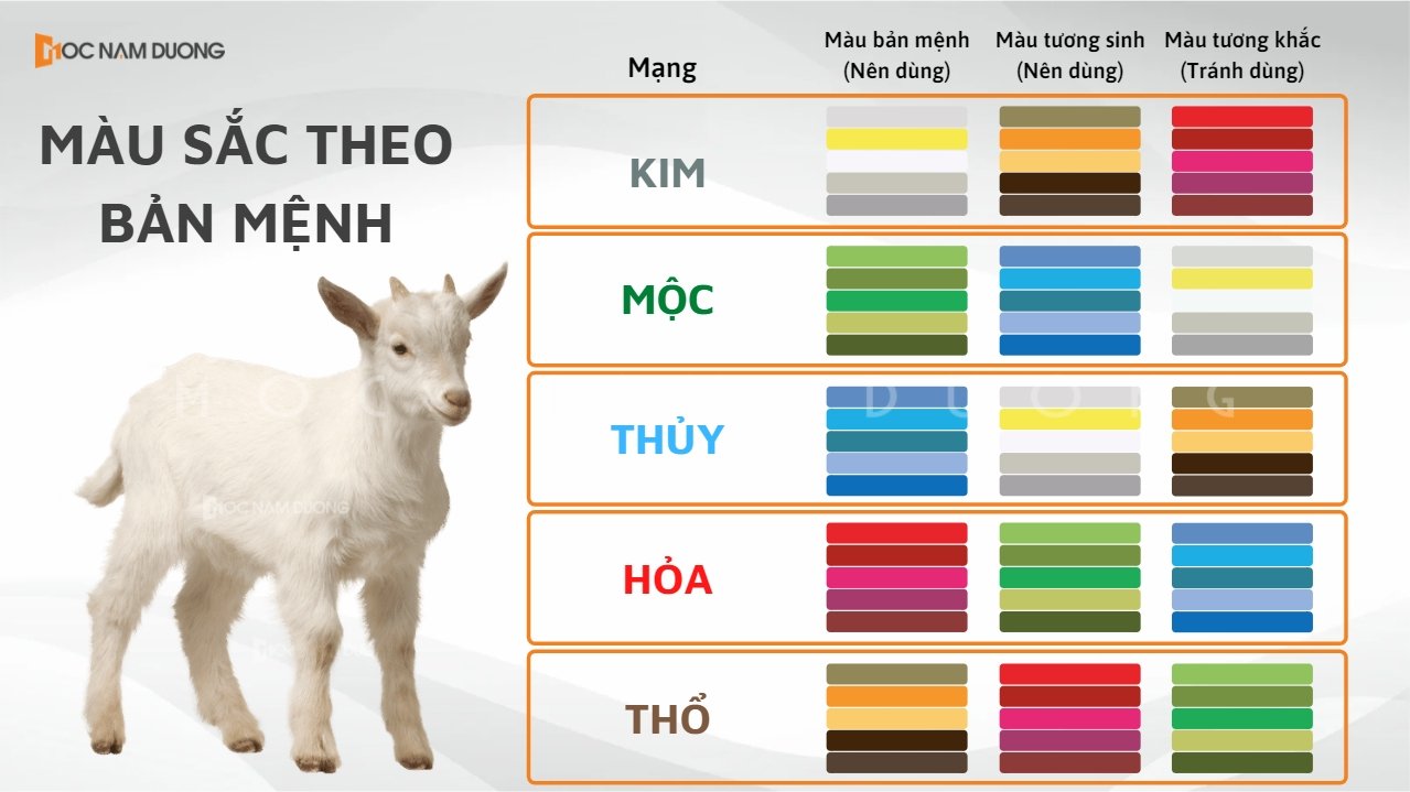 Tuổi Kỷ Mùi 1979 và phong thủy hợp mệnh