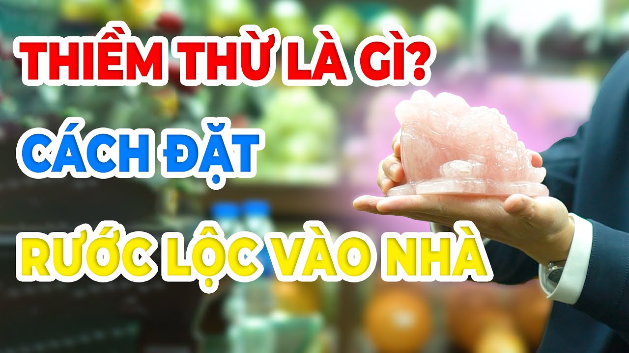 Cách đặt thiềm thừ thu hút tài lộc đúng phong thủy