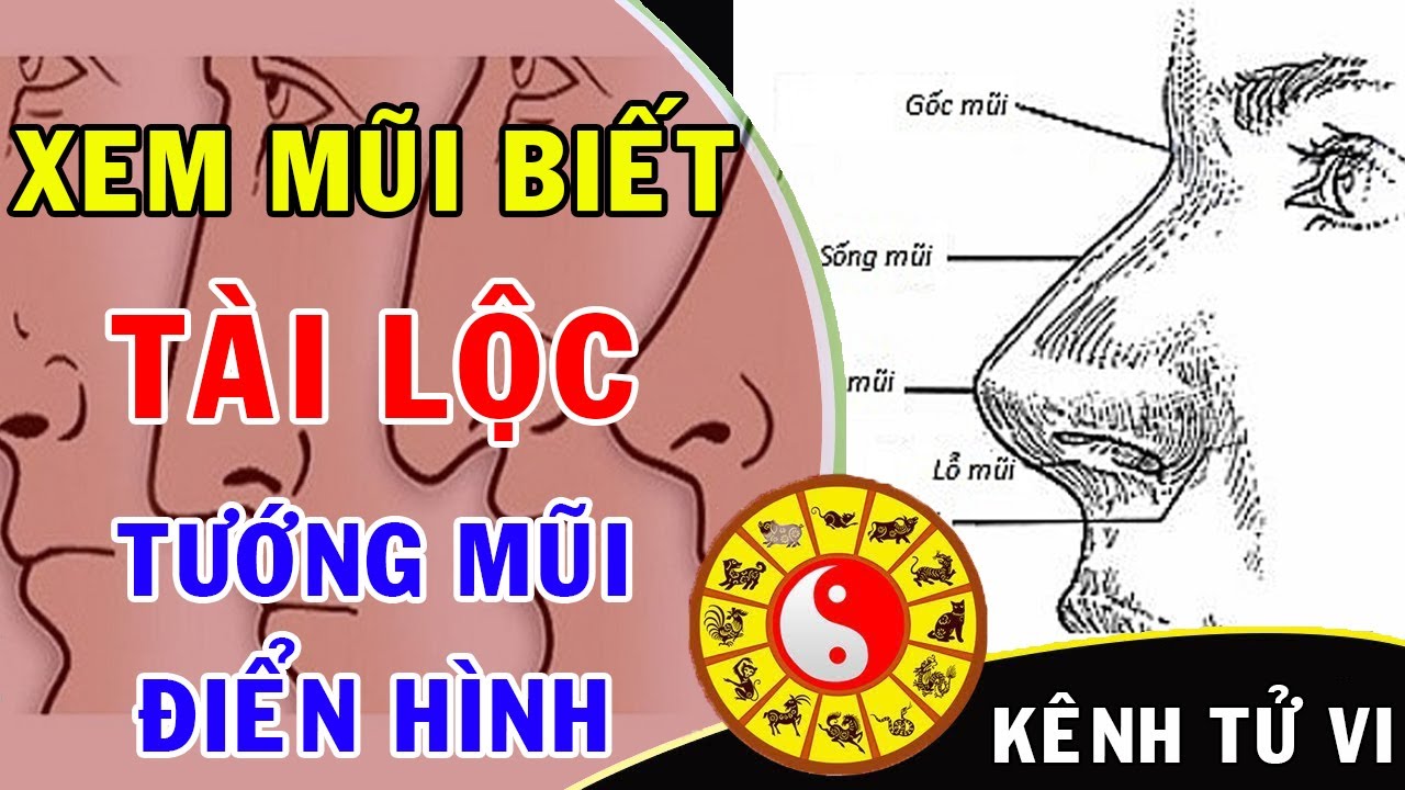 Nhận biết tướng mũi tài lộc