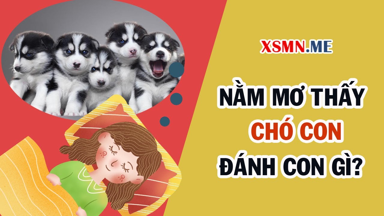 Chó con dễ thương trong giấc mơ và con số may mắn