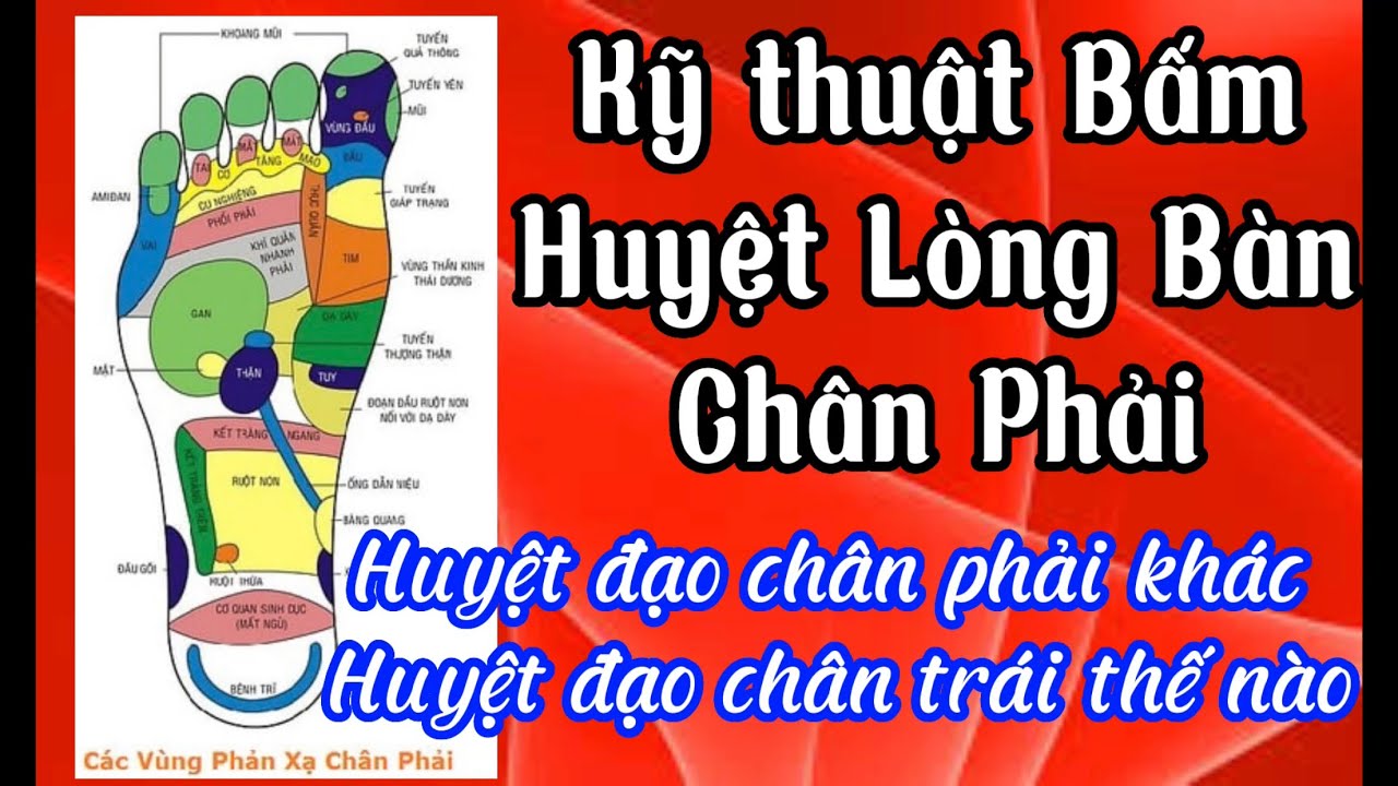 Huyệt đạo ở lòng bàn chân