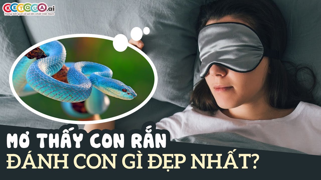 Nhiều con rắn xuất hiện trong giấc mơ