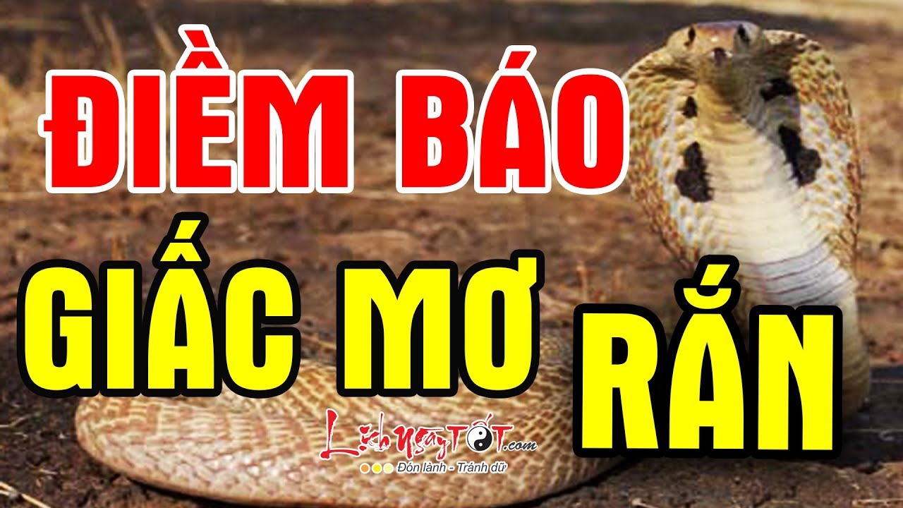 Rắn cắn trong giấc mơ nên đánh số gì