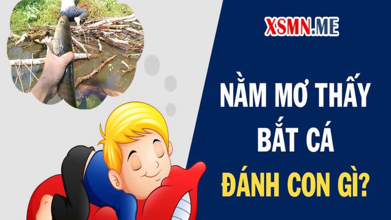 Người đang bắt cá dưới ao trong giấc mơ