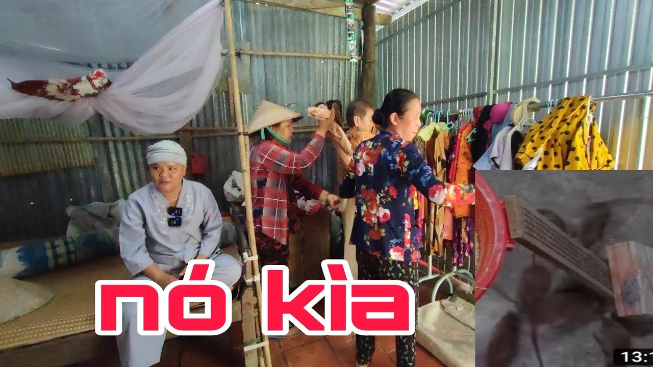Chuột xuất hiện trong giấc mơ ban đêm