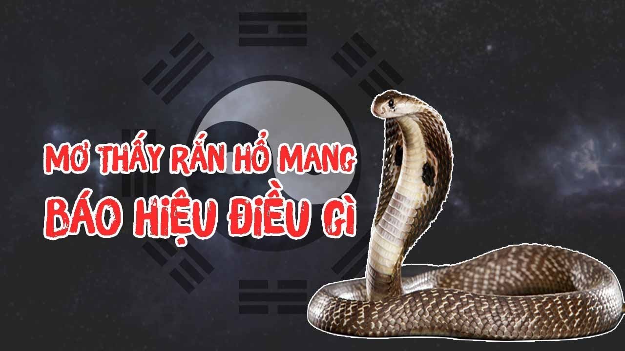 Hổ xuất hiện trong giấc mơ ý nghĩa gì